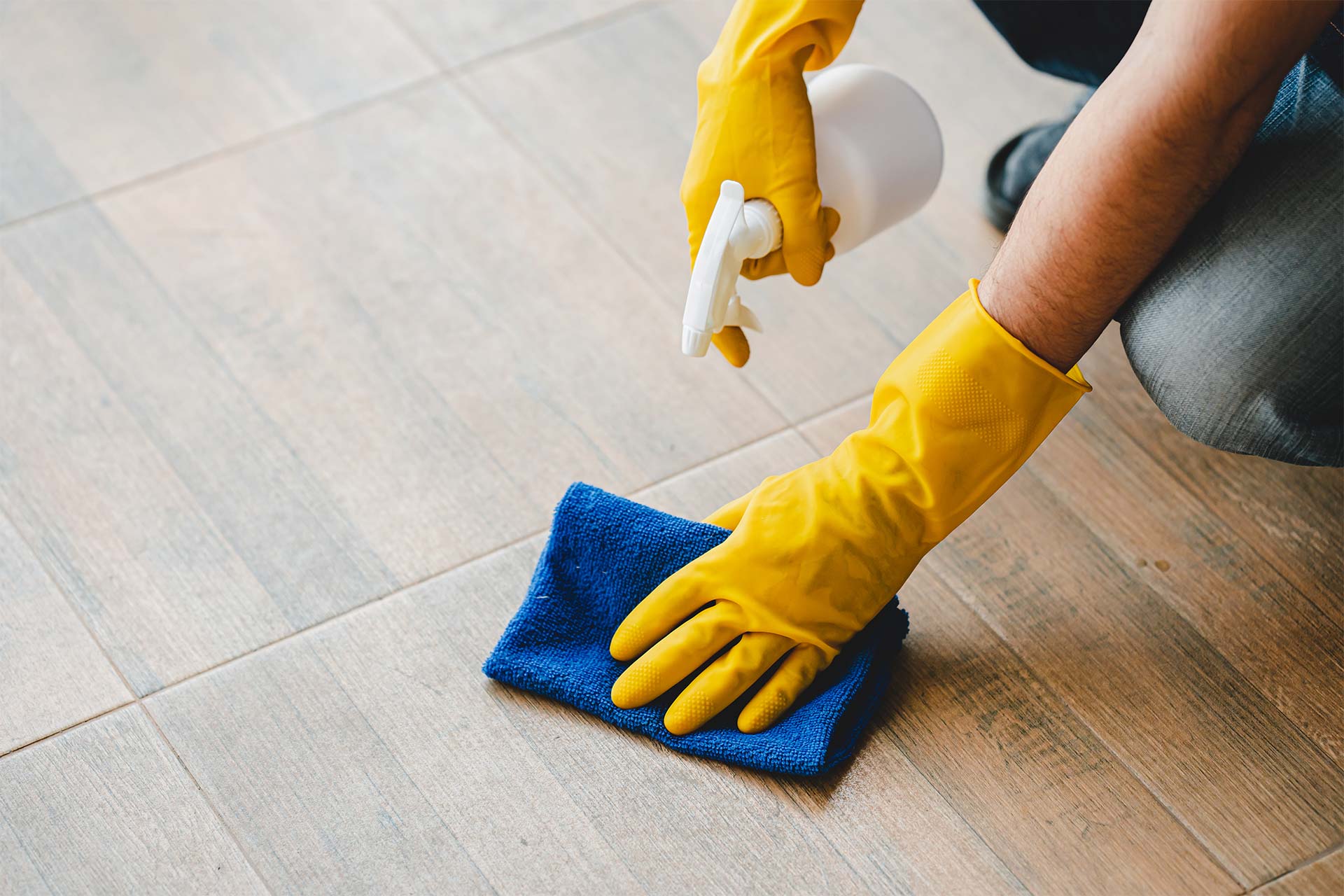 Professional deep cleaning service Tampa Bay FL