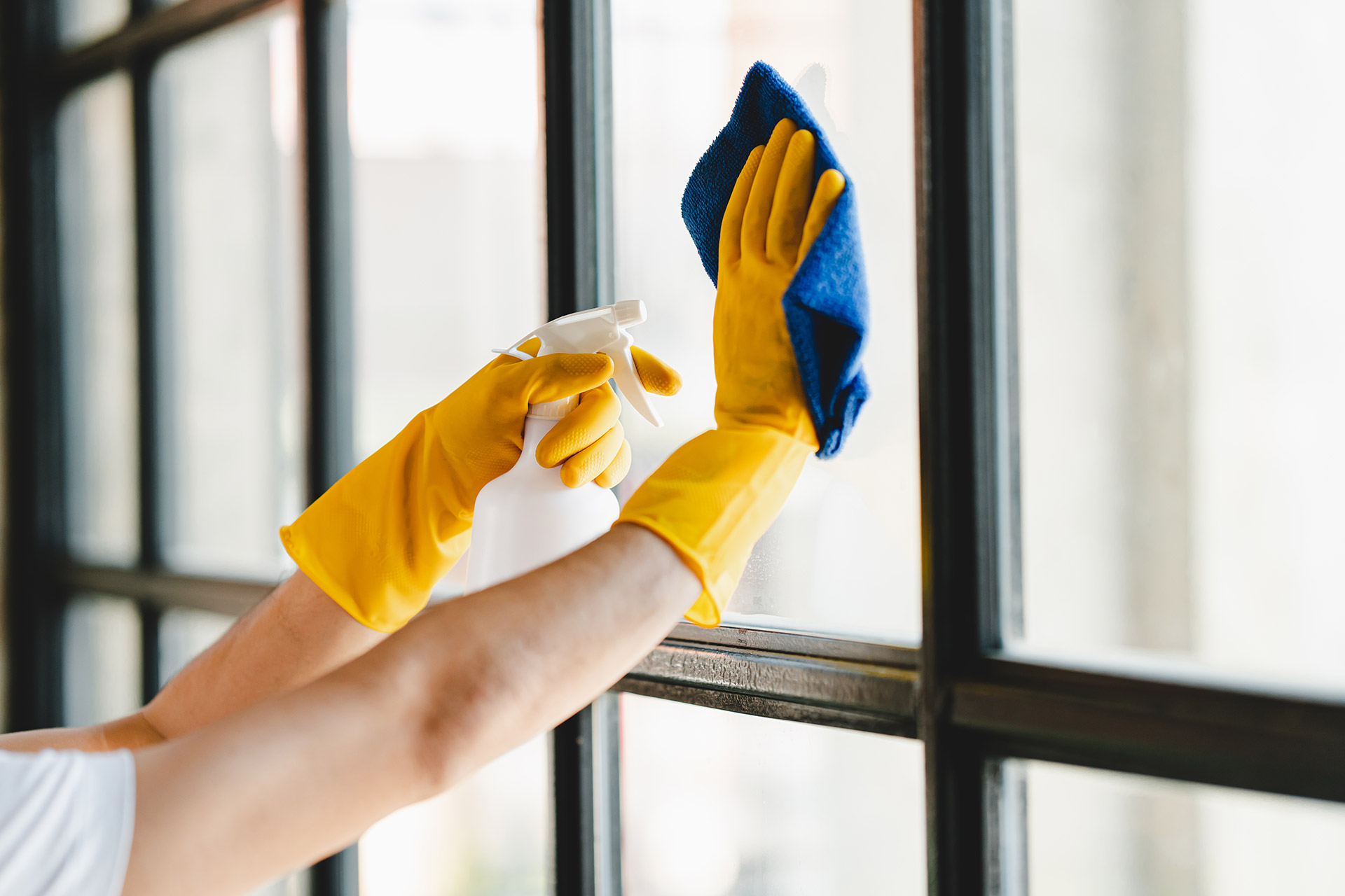 Commercial office cleaning service Tampa Bay FL